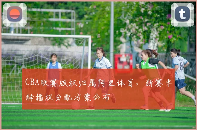 CBA联赛版权归属阿里体育,新赛季转播权分配方案公布