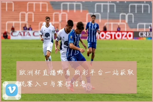 欧洲杯直播哪看 购彩平台一站获取观赛入口与赛程信息