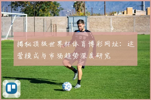 揭秘顶级世界杯体育博彩网址：运营模式与市场趋势深度研究