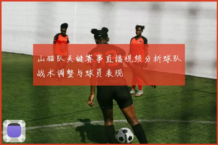 山猫队关键赛事直播视频分析球队战术调整与球员表现