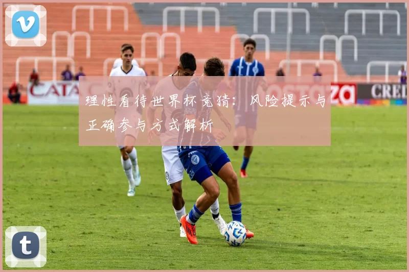 理性看待世界杯竞猜:风险提示与正确参与方式解析