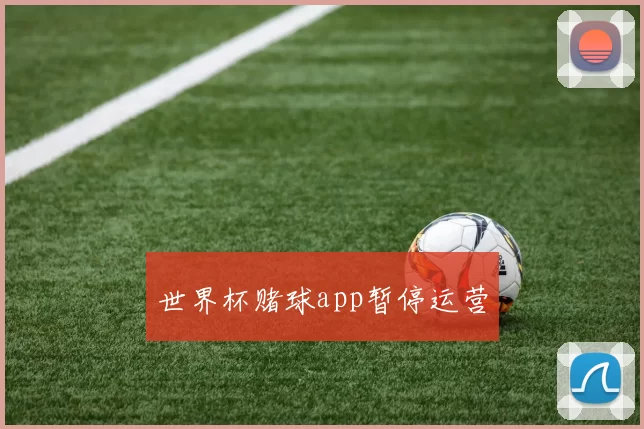 世界杯赌球app暂停运营
