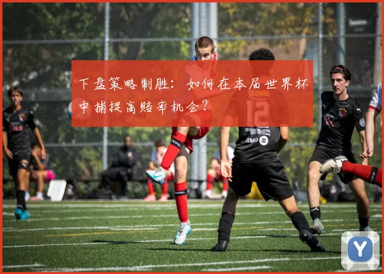 下盘策略制胜:如何在本届世界杯中捕捉高赔率机会?