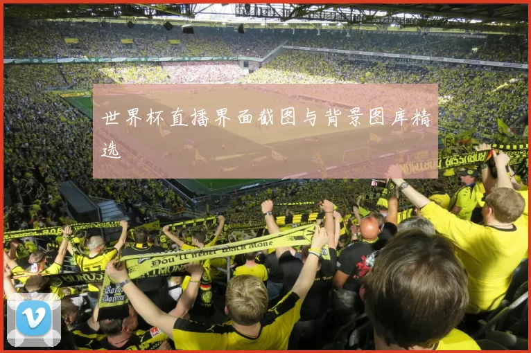 世界杯直播界面截图与背景图库精选