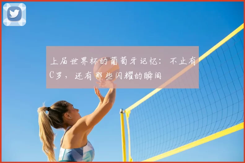 上届世界杯的葡萄牙记忆:不止有C罗,还有那些闪耀的瞬间