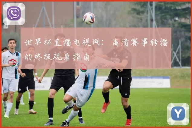 世界杯直播电视网:高清赛事转播的终极观看指南